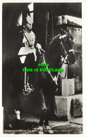 R589707 Lifeguardsman On Duty At Whitehall. London. 13. RP. Horse - Sonstige & Ohne Zuordnung