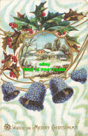 R589716 Wishing You A Merry Christmas. W. 24. Greeting Card - Welt