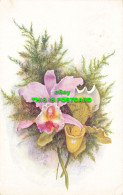 R590039 Orchids. Tuck. Oilette. Postcard No. 8851. 1918 - Welt