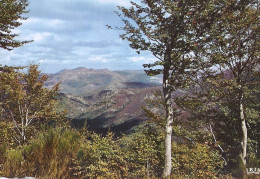 *CPM - 34 - HERAULT - Paysage Et Vue Sur Les Monts De L'Espinousse - Otros & Sin Clasificación