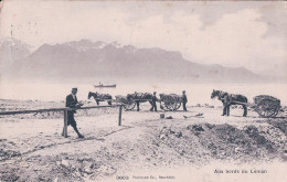 Bord Du Léman, Attelages De Tombereaux En Bois, Transport De Pierres Et Gravats à La Décharge (3603) - Altri & Non Classificati