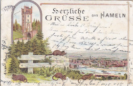 AK Herzliche Grüsse Aus Hameln - Klütturm Ratten - Litho - 1897 (69112) - Hameln (Pyrmont)