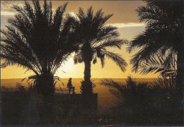 *CPM- ALGÉRIE - TIMIMOUN - Sur La Terrasse De L'Hôtel Gourara - Sonstige & Ohne Zuordnung