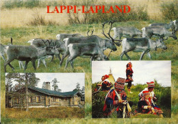 *CPM  - FINLANDE - LAPPI-LAPLAND - Rennes, Chalet, Costumes Traditionnels - Finlandia