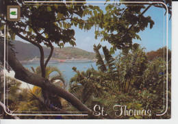 St Thomas  Regard Sur Le Mont Et Des Bateaux De Croisières  Baie Petits Voiliers  CM 2 Scans - Vierges (Iles), Amér.