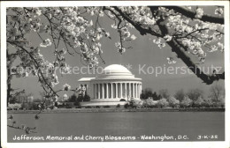 11806784 Washington DC Jefferson Memorial Cherry Blossoms  - Washington DC