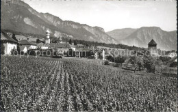 11780900 Maienfeld Panorama Maienfeld - Sonstige & Ohne Zuordnung