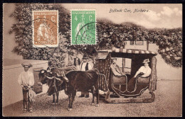 Portugal - 1922 - Madeira - Bullock Cara - Madeira