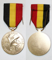 Médaille-BE-303_FNC-NSB_85 Ans_1919-2004_Fédération Nationale Des Combattants Belgique_14-18_WW1_21-08 - Belgio