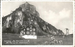 11779223 Seelisberg UR Alp Weid Am Weg Zum Niederbauen Seelisberg UR - Autres & Non Classés