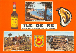 17-ILE DE RE-N°2110-C/0165 - Ile De Ré