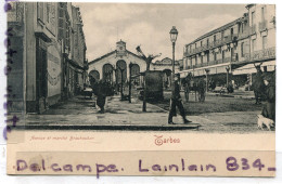 - TARBES - ( H. - Pyr. ), Avenue Et Marché Brauhauban, Animation, Chien Blanc, Attelage, Non écrite, TTBE, Scans - Tarbes