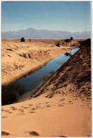 Sinai Desert Oasis - Israel