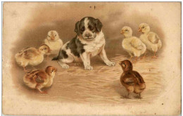 Hunde - Litho - Perros