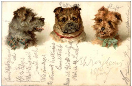 Hund - Litho - Perros