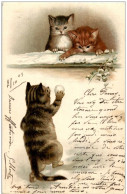 Katzen - Litho - Cats