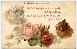 Katzen - Litho - Katzen