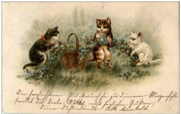 Katzen - Litho - Katzen