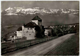 Liechtenstein - Schloss Vaduz - Liechtenstein