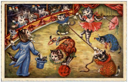 Katzen - Circus - Katzen