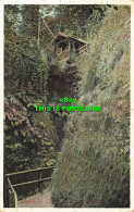 R590601 Isle Of Wight. Shanklin Chine. Ideal Series - Wereld