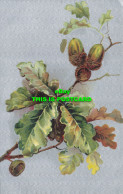 R590258 Oak Branch With Acorns. B. B. Series No. 2125 - Wereld