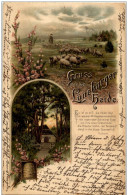 Gruss Aus Der Lüneburger Heide - Litho - - Other & Unclassified