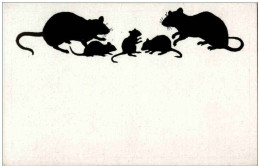 Mouse - Maus - Andere & Zonder Classificatie