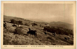 Wesserling Au Col Du Herrenberg - Sonstige & Ohne Zuordnung