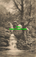 R590268 Dwygyfylchi. Fairy Falls. A. Netherwood. 1917 - Wereld