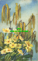 R590275 Hazelnuts And Yellow Flowers. V. And Cie. A. Haller - Wereld