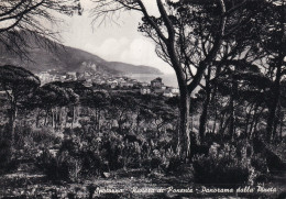 Spotorno Panorama Dalla Pineta - Autres & Non Classés