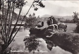 Bardineto Poesia Alpestre - Altri & Non Classificati