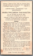 Bidprentje Olen - Van Naelten Maria Philomena (1869-1951) - Devotieprenten