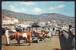 Portugal - Circa 1940 - Madeira - Funchal - Madeira