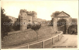 11777542 Carisbrooke Isle Of Wight Castle Salmon Series Isle Of Wight - Altri & Non Classificati