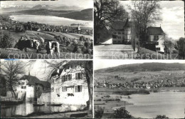 11777270 Seengen AG Am Hallwilersee Panorama Schloss Hallwil Seengen - Autres & Non Classés