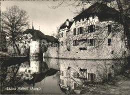 11777124 Hallwil Schloss Hallwil Restaurant Hallwil - Sonstige & Ohne Zuordnung