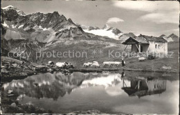 11777088 Zermatt VS Schwarzsee Untergabelhorn  - Sonstige & Ohne Zuordnung