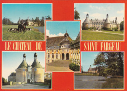 89, Le Château De Saint Fargeau - Saint Fargeau