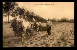 54 - REHAINVILLER - ATTELAGE DE BOEUFS AU LABOURAGE - AGRICULTURE - Sonstige & Ohne Zuordnung