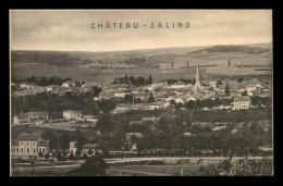 57 - CHATEAU-SALINS - VUE GENERALE - Chateau Salins