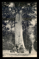 59 - LE GROS CHENE DE LA FORET DE NIEPPE - ARBRE - Autres & Non Classés