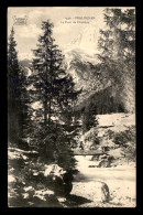 73 - PRALOGNAN - LE PONT DE CHOLIERE - Pralognan-la-Vanoise