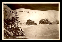 LIBAN - HOTEL DES CEDRES DANS LA NEIGE - Libano