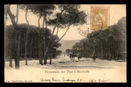 LIBAN - BEYROUTH - PROMENADE DES PINS - Lebanon