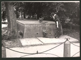 Fotografie Ansicht Husum, Grab Des Dichters Theodor Storm  - Beroemde Personen