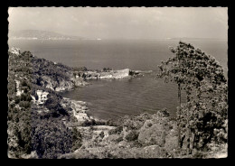 06 - THEOULE - CHATEAU ET POINTE DE LA GALERE - Sonstige & Ohne Zuordnung