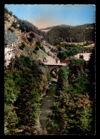 43 - STE-SIGOLENE - LE PONT DE VAUBARLET - Otros & Sin Clasificación