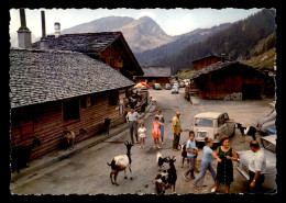 74 - LES LINDARETS - LES CHEVRES AU VILLAGE - Sonstige & Ohne Zuordnung